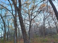 Also a great morning for spotting dramatic spider webs
