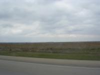 The terrain grew almost treeless near Jonesboro.