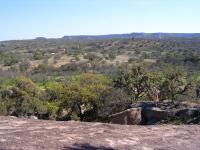 A view from a just a little bit up the Enchanted Rock dome.