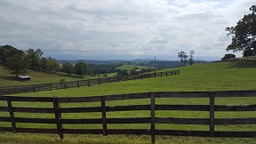 I painted this view from under a barn, which would prove to be a wise choice when the showers roared through