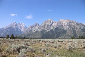 As we got onto the trail, they were a little easier to see