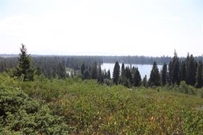We'd gotten a bit of altitude, and could look down on the lake