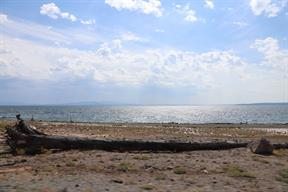 On our way out the eastern exit of Yellowstone, we drove by Lake Yellowstone for some ways