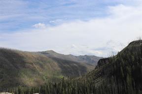 This area had been burned rather dramatically some years ago
