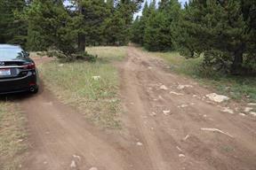 The mud road was a detour too far for us