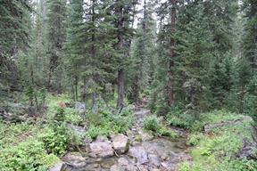 Later, we hiked down the trail across a small stream
