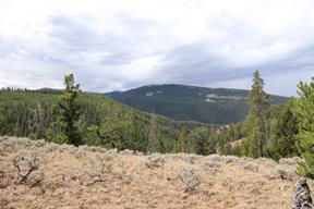 We had a few breaks in the trees, in the form of sagebrush meadows