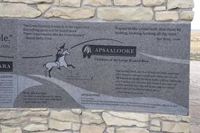 Apsaalooke - Crow
