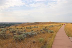 Another view from the walkway nearby