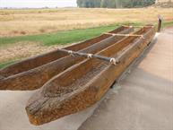 Dug-out canoes were a lot more difficult to manufacture, when trees were even available