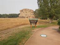 The pillar itself